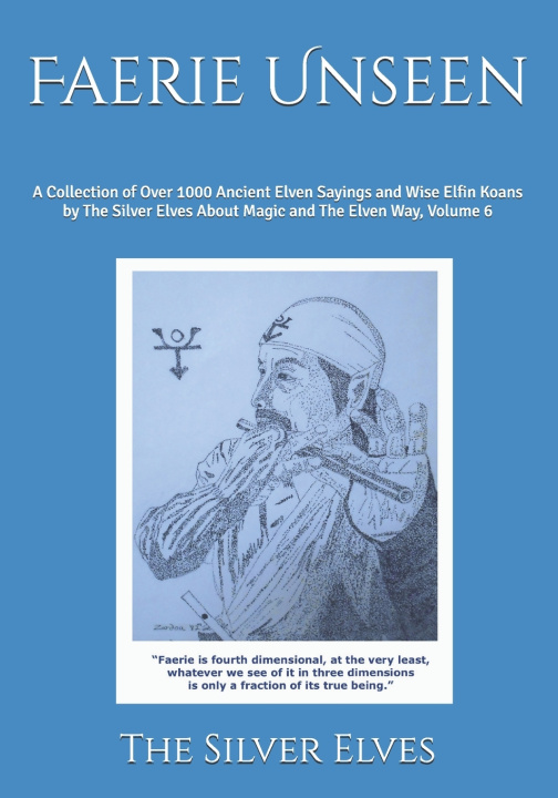 Buch Faerie Unseen The Silver Elves