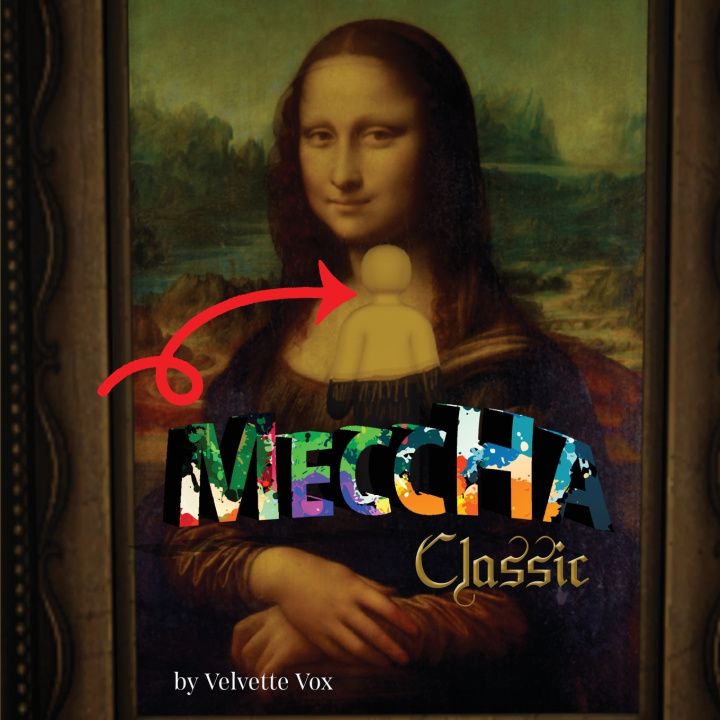 Libro Meccha Classic Hide and Seek Velvette Vox