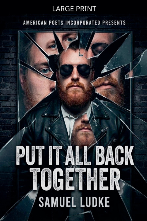 Book Put It All Back Together Samuel Ludke