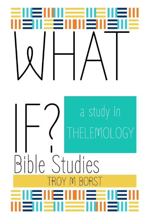 Book What If? Bible Studies Troy M Borst