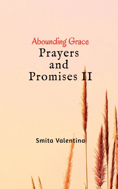 Libro Prayers and Promises II Smita Valentina