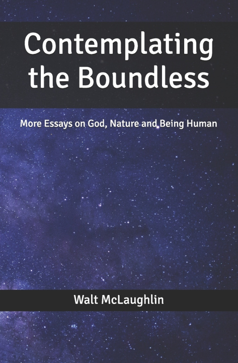 Book Contemplating the Boundless Walt McLaughlin