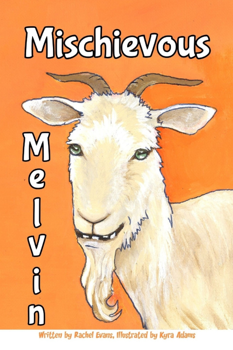 Boek Mischievous Melvin Rachel Evans