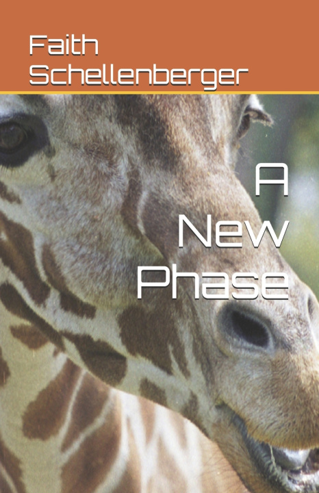 Kniha A New Phase Faith Schellenberger