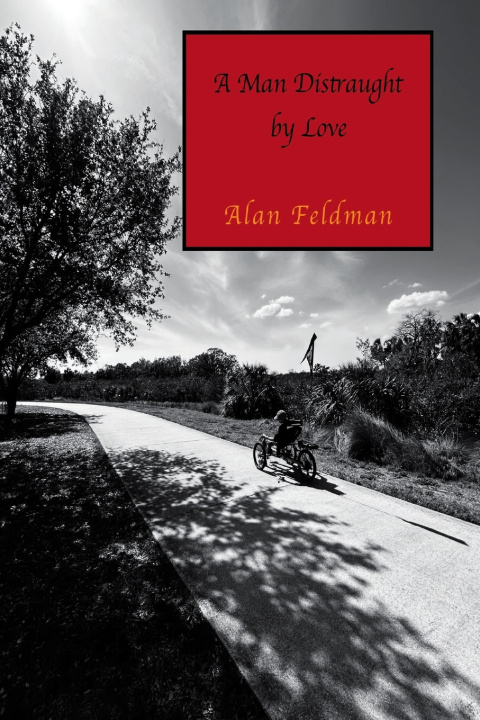 Buch A Man Distraught by Love Alan Feldman