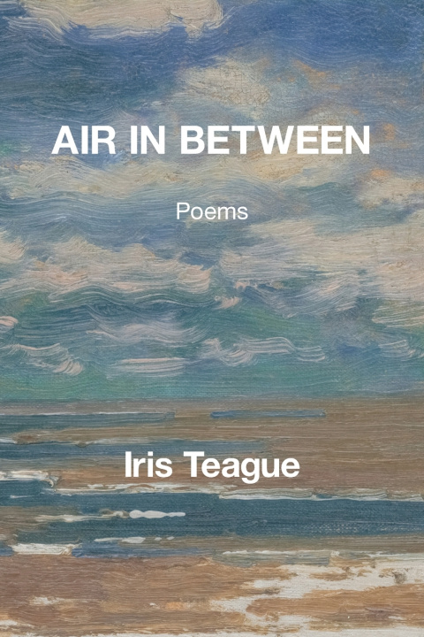 Book Air in Between Iris Teague