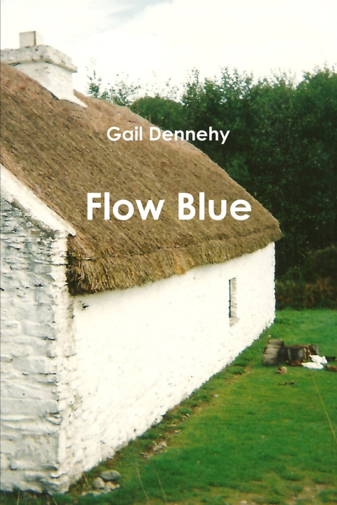 Książka Flow Blue Gail Dennehy