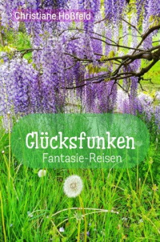 Buch Glücksfunken Christiane Hoßfeld