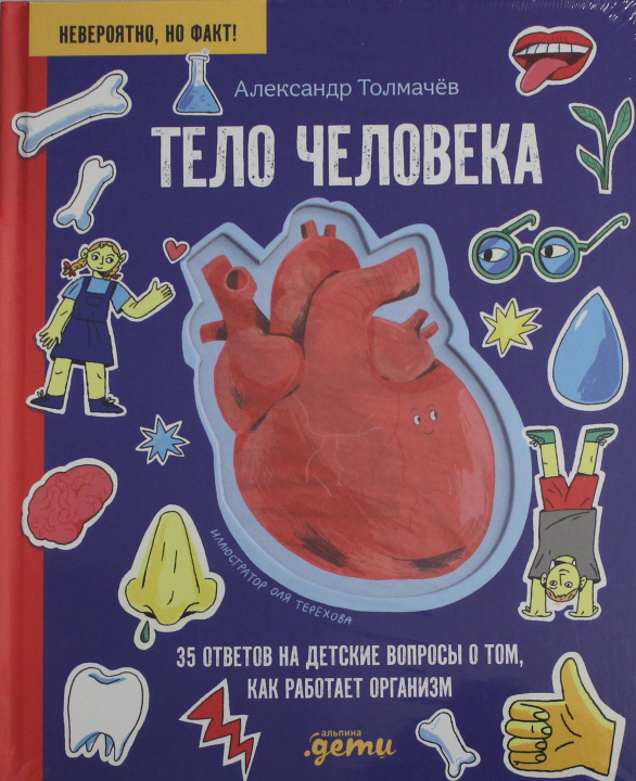 Buch Тело человека. 35 ответов на детские вопросы о том, как работает организм Александр Толмачев