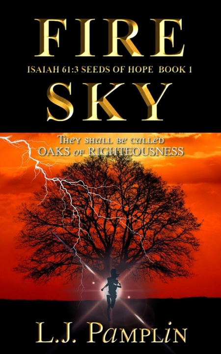 Książka Fire Sky L.J. Pamplin