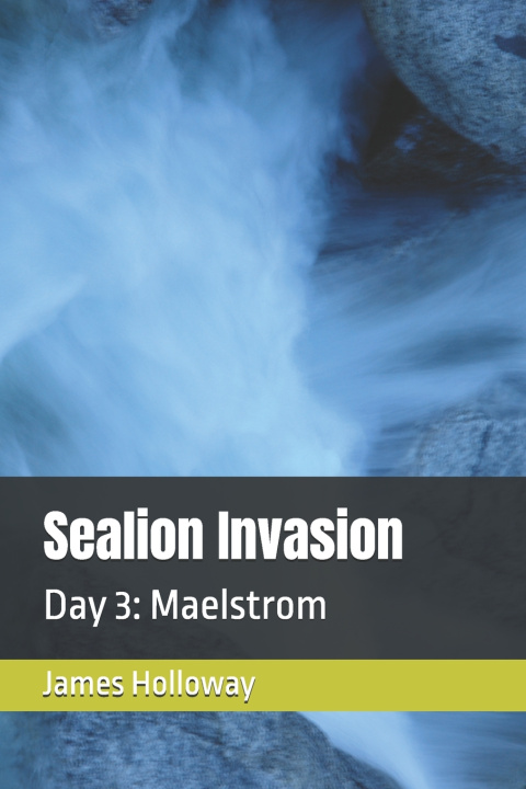 Buch Sealion Invasion Day 3 James Holloway
