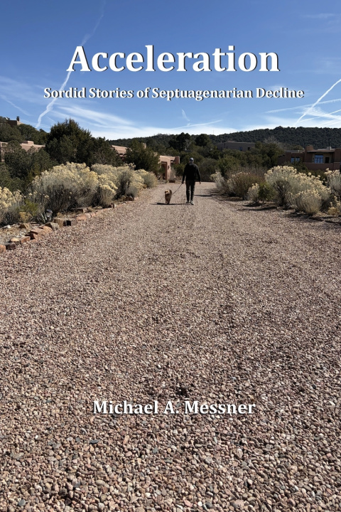 Βιβλίο Acceleration Michael A. Messner