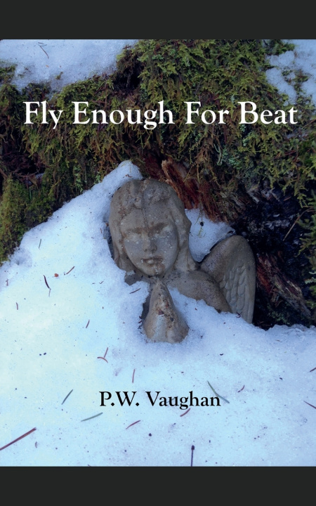 Βιβλίο Fly Enough For Beat P. W. Vaughan