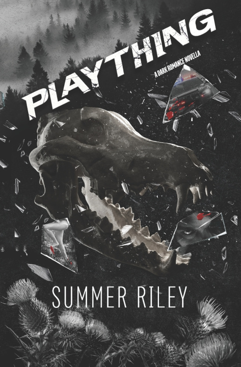 Βιβλίο Plaything Summer Riley