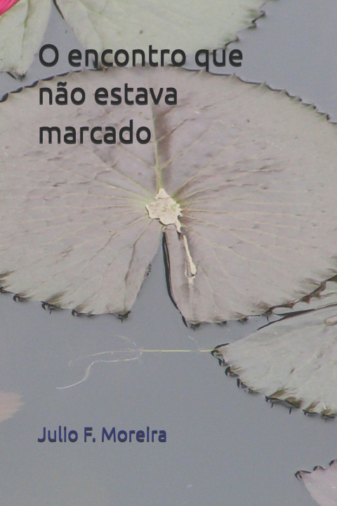 Książka O encontro que não estava marcado Julio F. Moreira