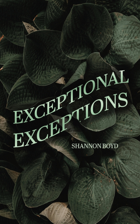 Książka Exceptional Exceptions Shannon Boyd
