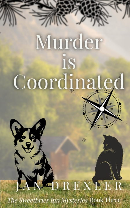 Książka Murder is Coordinated Jan Drexler