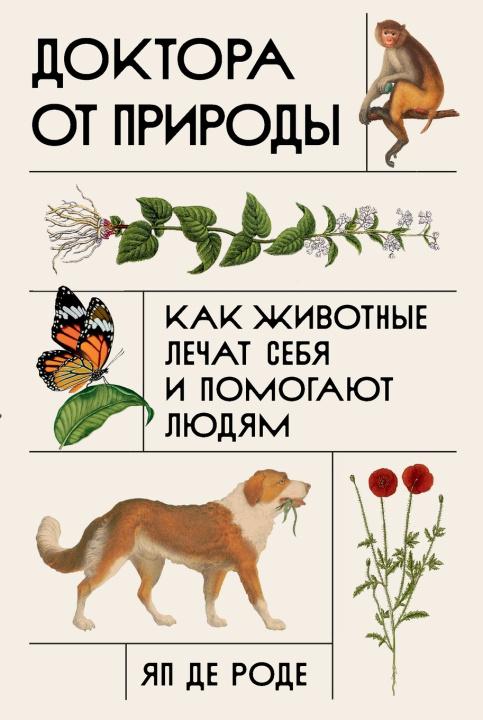 Buch Доктора от природы Яп де Роде