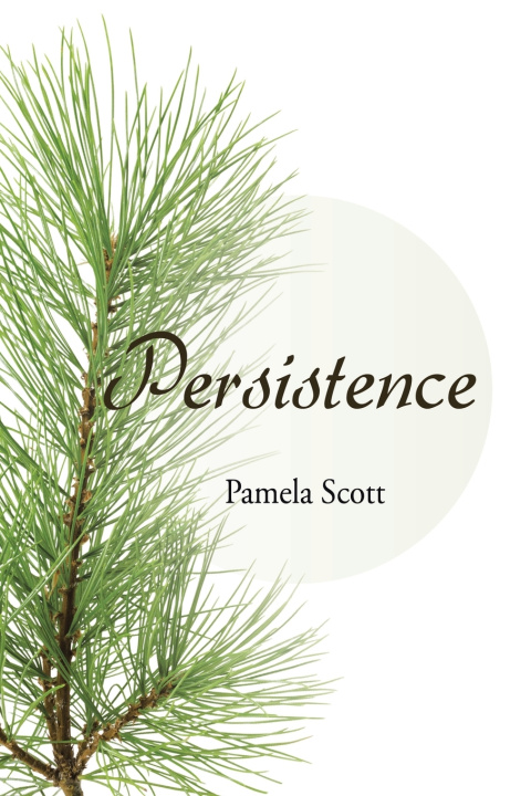 Book Persistence Pamela Scott