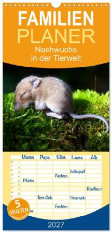 Naptár/Határidőnapló Familienplaner 2027 - Nachwuchs in der Tierwelt mit 5 Spalten (Wandkalender, 21 x 45 cm) CALVENDO Calvendo