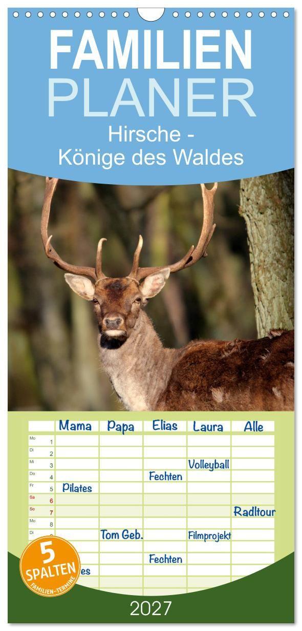Kalender/Terminbuch Familienplaner 2027 - Hirsche - Könige des Waldes mit 5 Spalten (Wandkalender, 21 x 45 cm) CALVENDO Calvendo