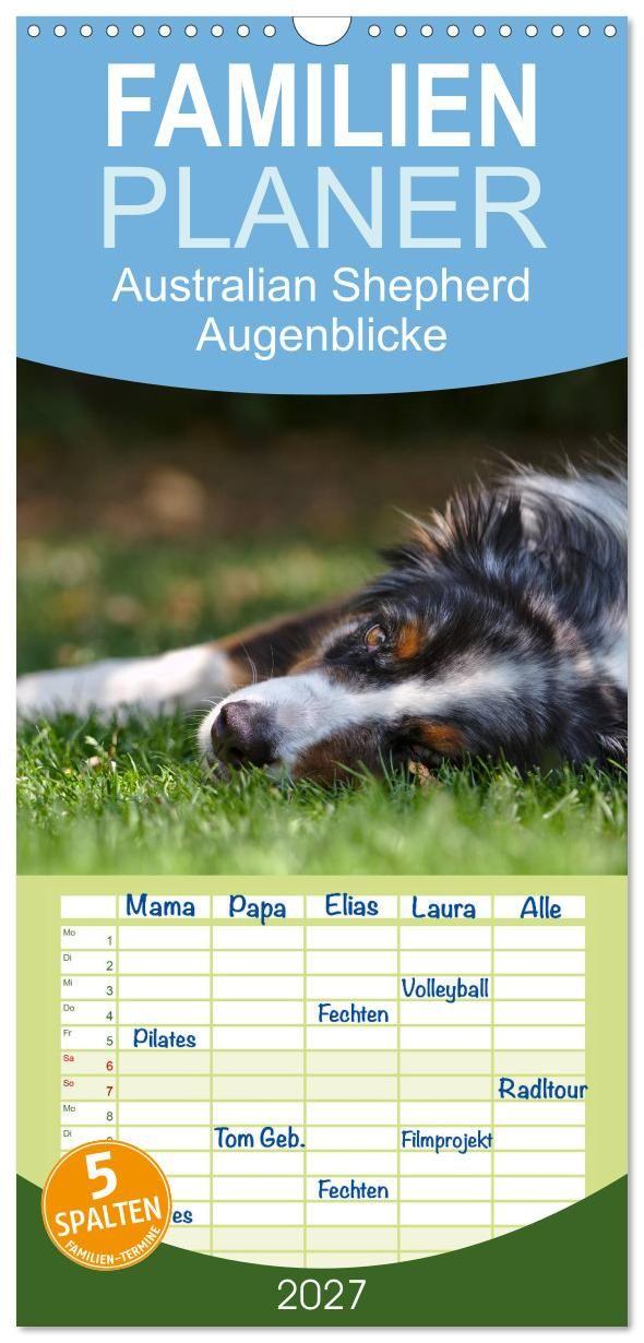 Kalender/Terminbuch Familienplaner 2027 - Australian Shepherd - Augenblicke mit 5 Spalten (Wandkalender, 21 x 45 cm) CALVENDO Calvendo