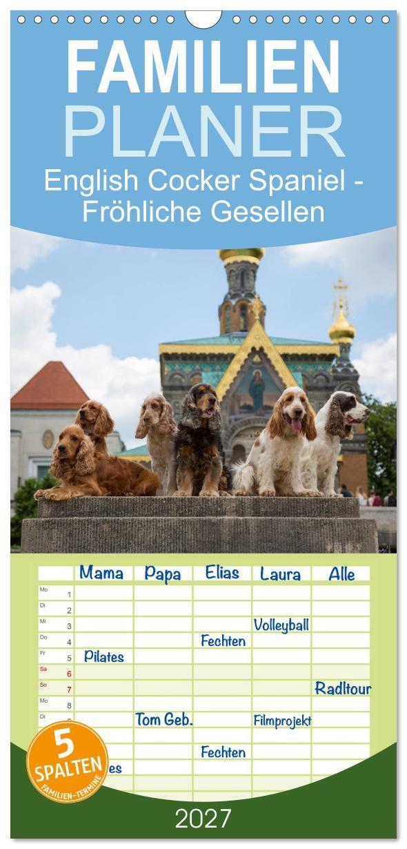 Naptár/Határidőnapló Familienplaner 2027 - English Cocker Spaniel - Fröhliche Gesellen mit 5 Spalten (Wandkalender, 21 x 45 cm) CALVENDO Calvendo