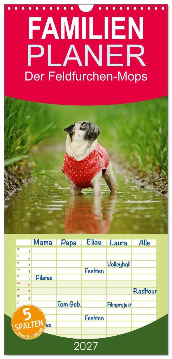 Kalender/agenda Familienplaner 2027 - Der Feldfurchen-Mops mit 5 Spalten (Wandkalender, 21 x 45 cm) CALVENDO Calvendo