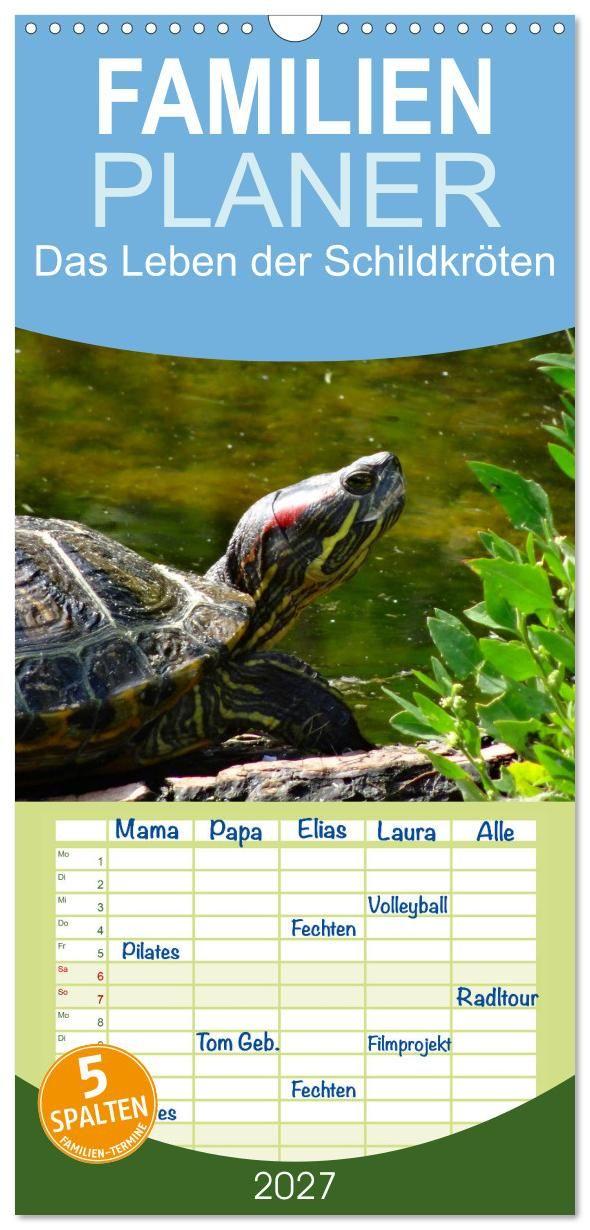 Naptár/Határidőnapló Familienplaner 2027 - Das Leben der Schildkröten mit 5 Spalten (Wandkalender, 21 x 45 cm) CALVENDO Calvendo
