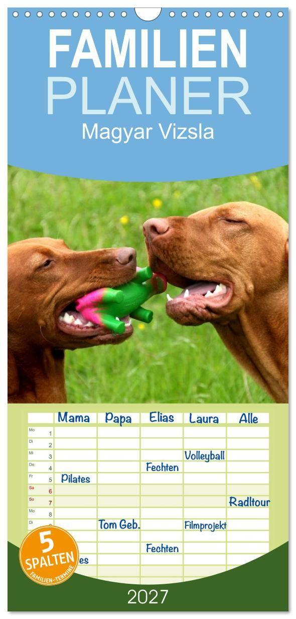 Kalendář/Diář Familienplaner 2027 - Magyar Vizsla mit 5 Spalten (Wandkalender, 21 x 45 cm) CALVENDO Calvendo
