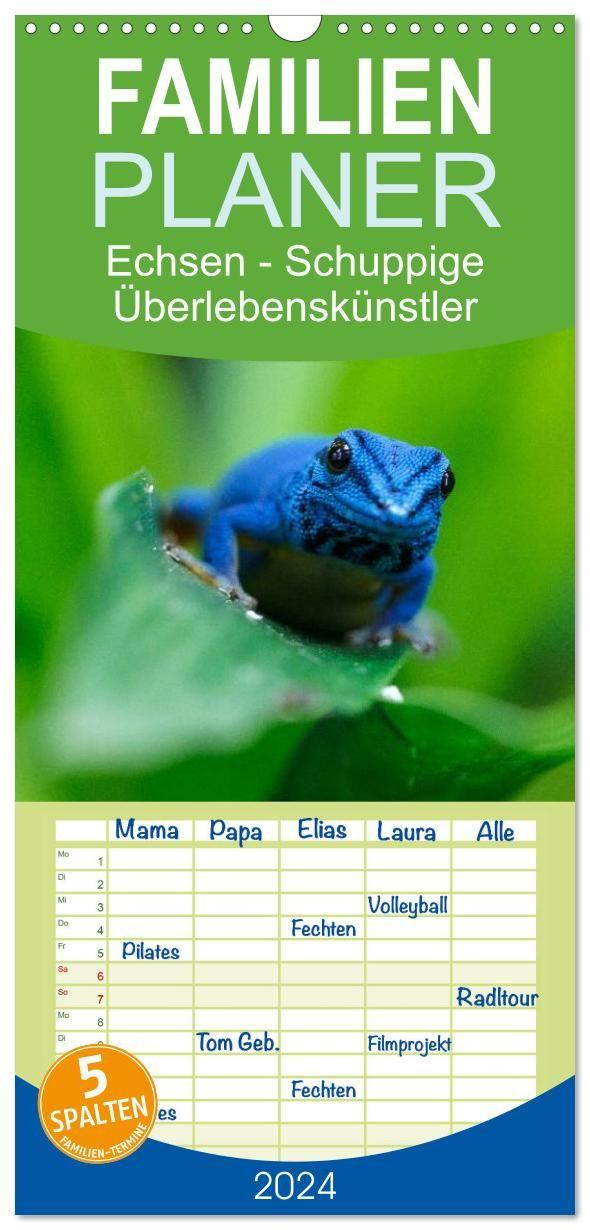 Kalendář/Diář Familienplaner 2027 - Echsen - Schuppige Überlebenskünstler mit 5 Spalten (Wandkalender, 21 x 45 cm) CALVENDO Calvendo