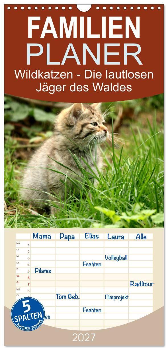 Kalender/Terminbuch Familienplaner 2027 - Wildkatzen - Die lautlosen Jäger des Waldes mit 5 Spalten (Wandkalender, 21 x 45 cm) CALVENDO Calvendo