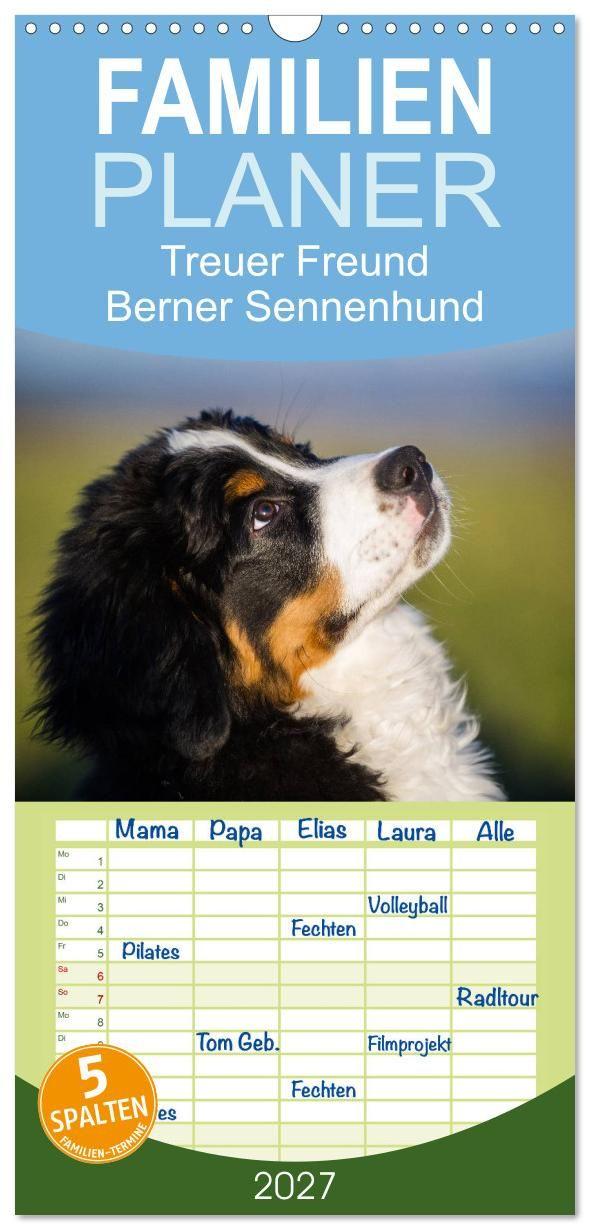 Naptár/Határidőnapló Familienplaner 2027 - Treuer Freund Berner Sennenhund mit 5 Spalten (Wandkalender, 21 x 45 cm) CALVENDO Calvendo