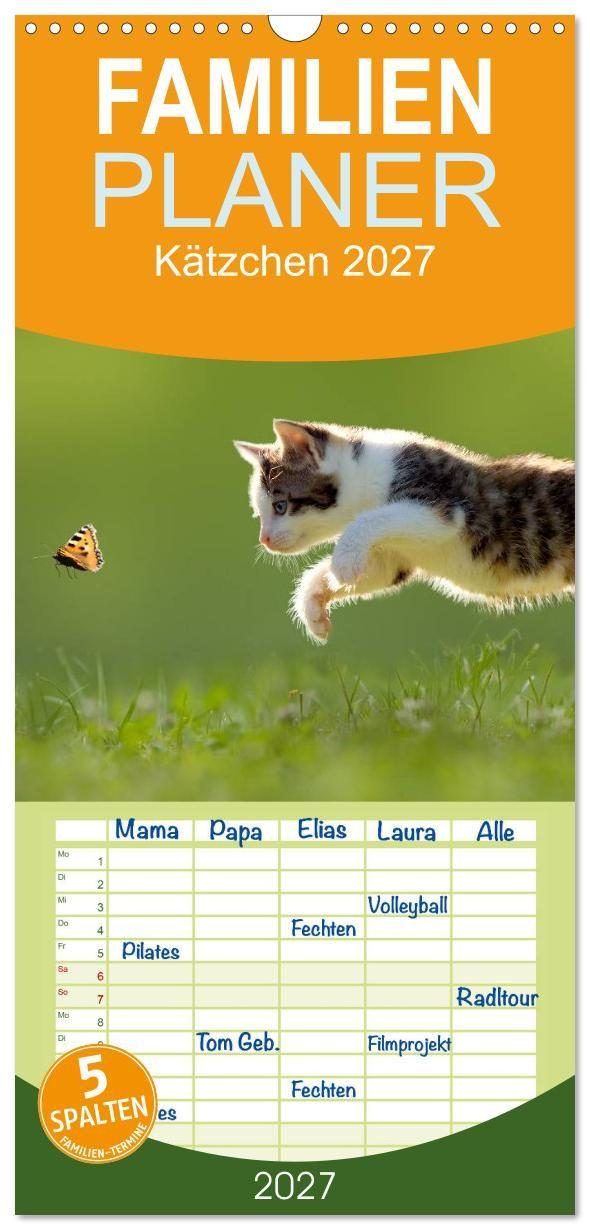 Naptár/Határidőnapló Familienplaner 2027 - Kätzchen 2027 mit 5 Spalten (Wandkalender, 21 x 45 cm) CALVENDO Calvendo