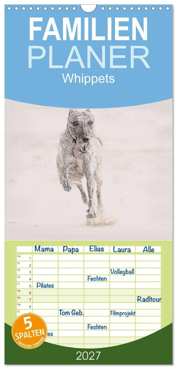 Kalender/Terminbuch Familienplaner 2027 - Whippet 2027 mit 5 Spalten (Wandkalender, 21 x 45 cm) CALVENDO Calvendo