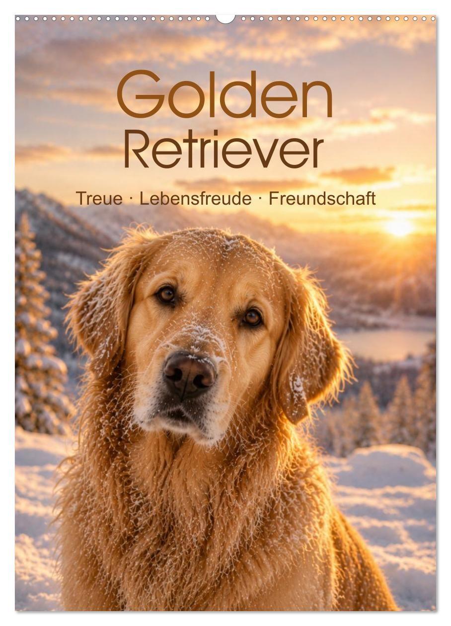 Kalender/Terminbuch Golden Retriever - Treue, Lebensfreude und Freundschaft (Wandkalender 2027 DIN A2 hoch), CALVENDO Monatskalender Calvendo