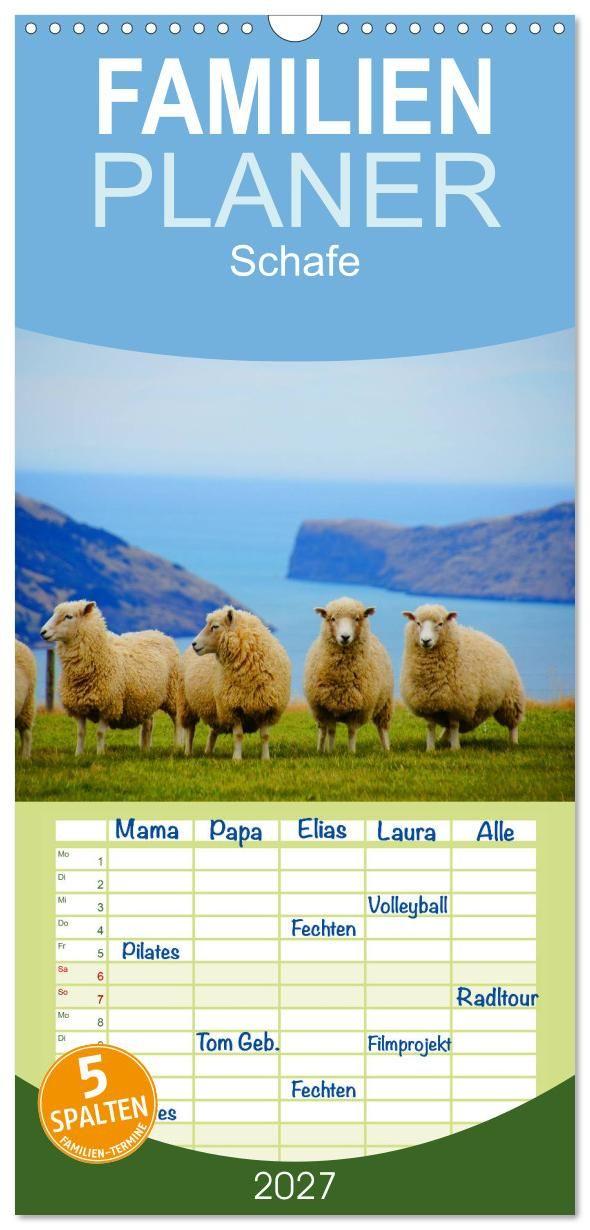 Kalender/agenda Familienplaner 2027 - Schafe mit 5 Spalten (Wandkalender, 21 x 45 cm) CALVENDO Calvendo