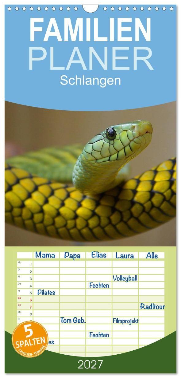 Kalender/agenda Familienplaner 2027 - Schlangen mit 5 Spalten (Wandkalender, 21 x 45 cm) CALVENDO Calvendo