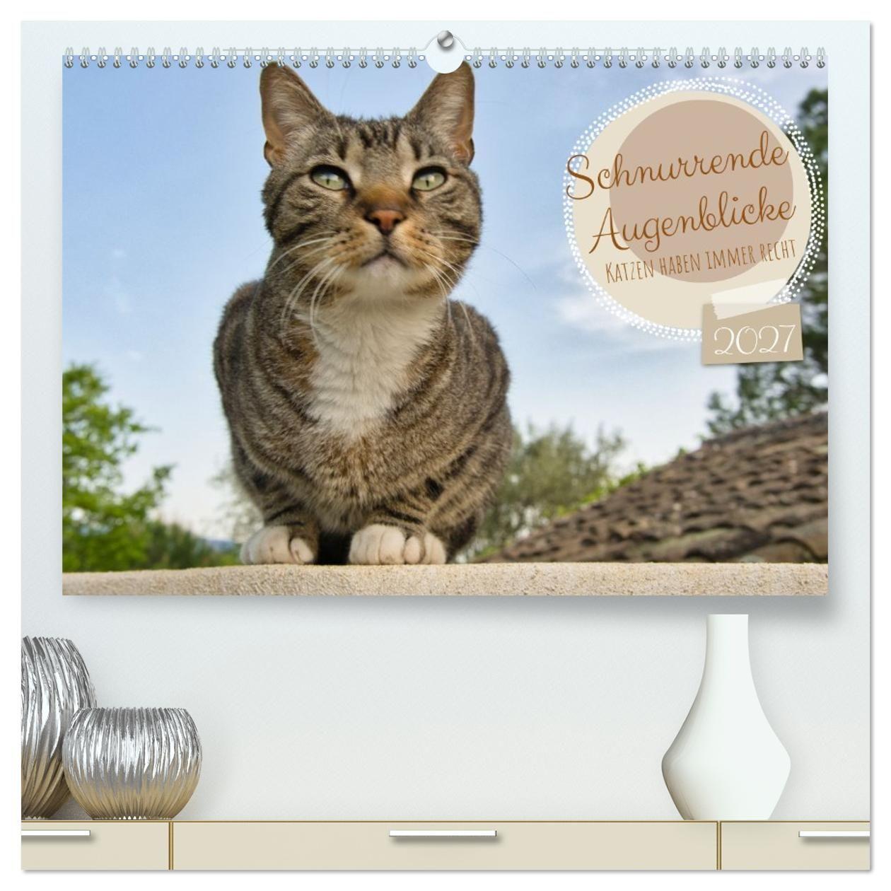 Kalender/Terminbuch Schnurrende Augenblicke (hochwertiger Premium Wandkalender 2027 DIN A2 quer), Kunstdruck in Hochglanz Calvendo