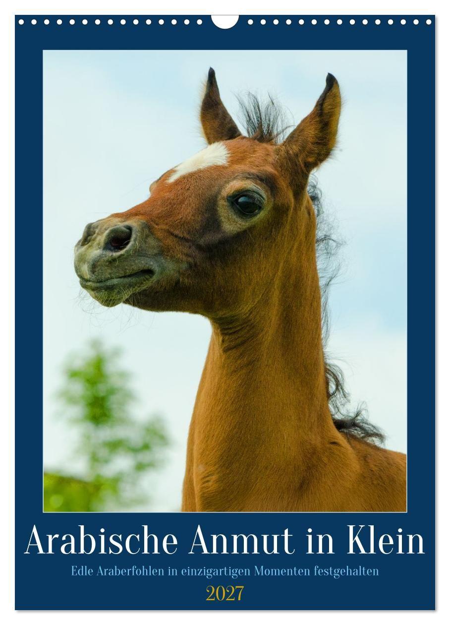 Kalender/Terminbuch Arabische Anmut in Klein (Wandkalender 2027 DIN A3 hoch), CALVENDO Monatskalender Calvendo