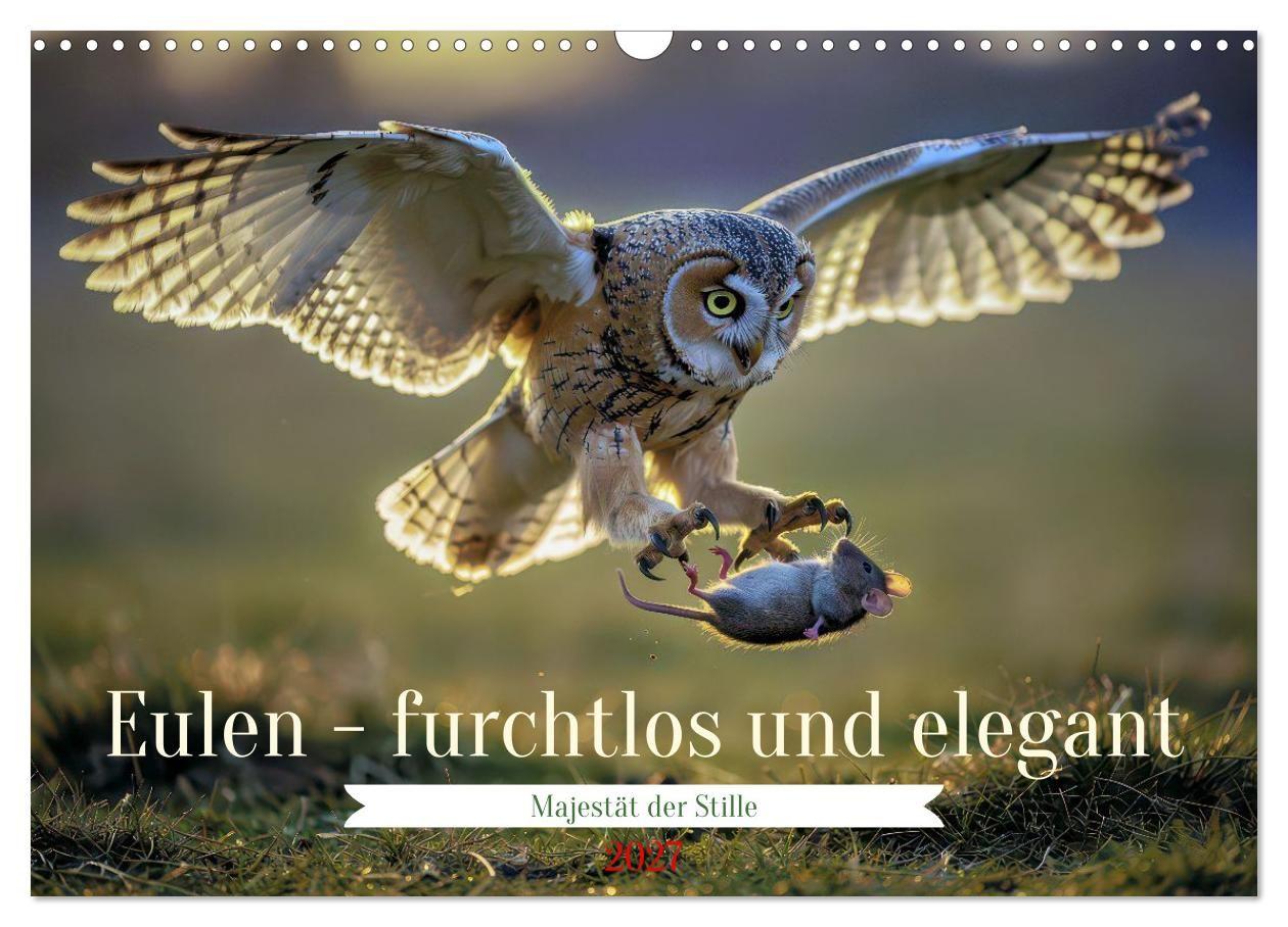 Kalender/Terminbuch Eulen - furchtlos und elegant (Wandkalender 2027 DIN A3 quer), CALVENDO Monatskalender Calvendo
