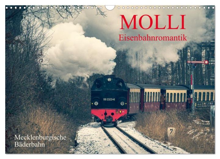 Kalender/Terminbuch Molli- Mecklenburgische Bäderbahn (Wandkalender 2027 DIN A3 quer), CALVENDO Monatskalender Calvendo