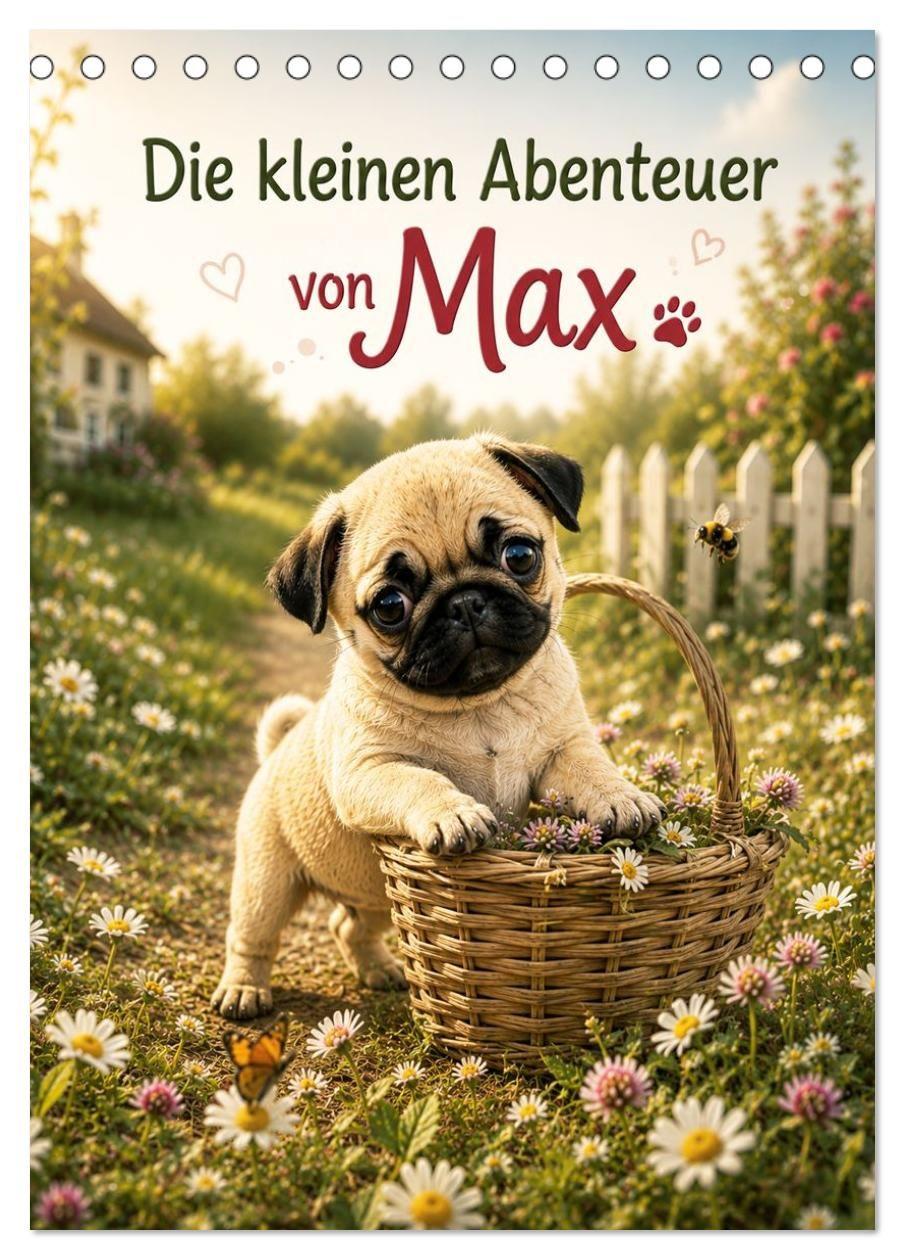 Kalender/Terminbuch Die kleinen Abenteuer von Max (Tischkalender 2027 DIN A5 hoch), CALVENDO Monatskalender Calvendo