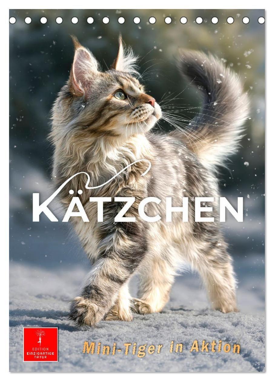 Kalender/Terminbuch Kätzchen - Mini-Tiger in Aktion (Tischkalender 2027 DIN A5 hoch), CALVENDO Monatskalender Calvendo