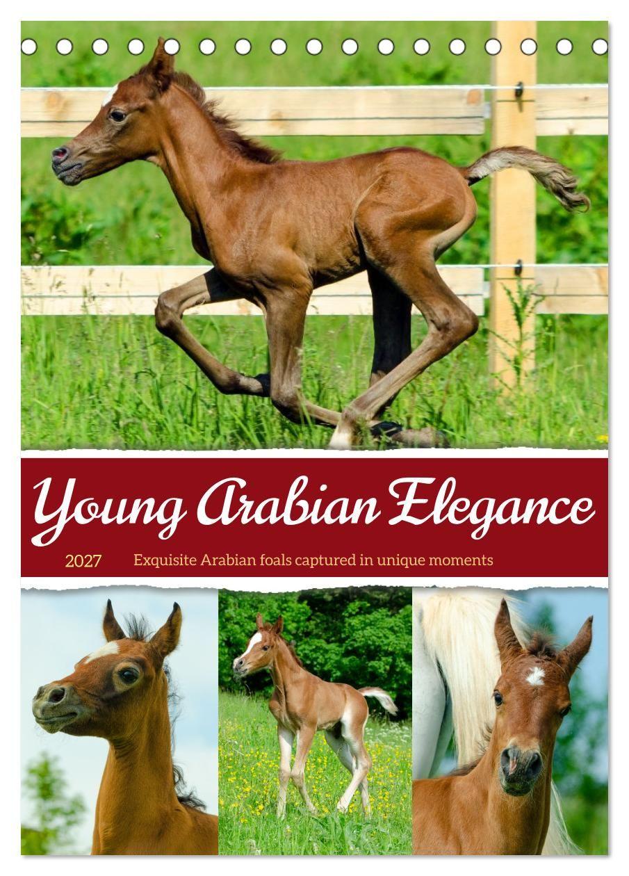 Kalender/Terminbuch Young Arabian Elegance (Desk Calendar 2027 DIN A5 portrait), CALVENDO 12 Month DeskCalendar Calvendo