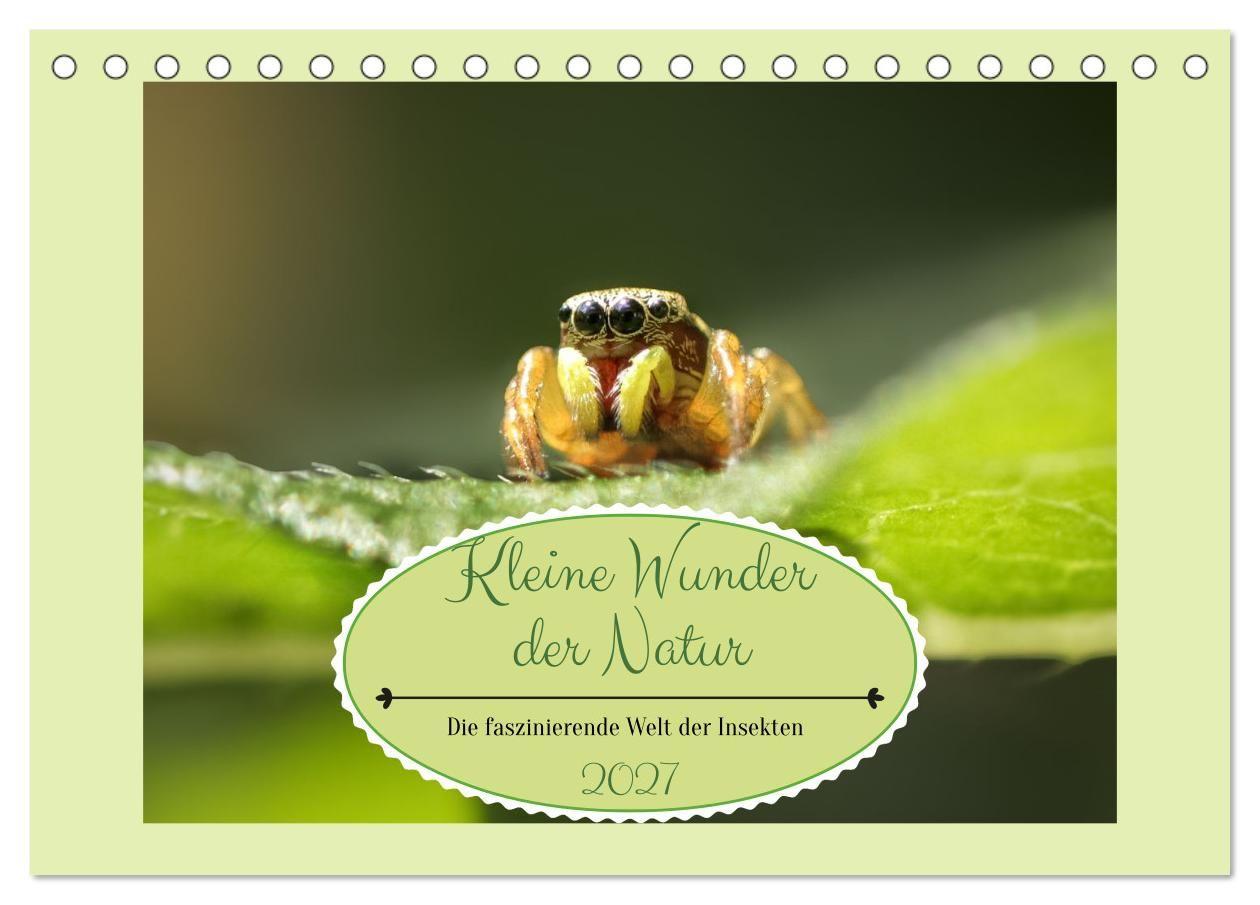 Kalender/agenda Die faszinierende Welt der Insekten (Tischkalender 2027 DIN A5 quer), CALVENDO Monatskalender Calvendo