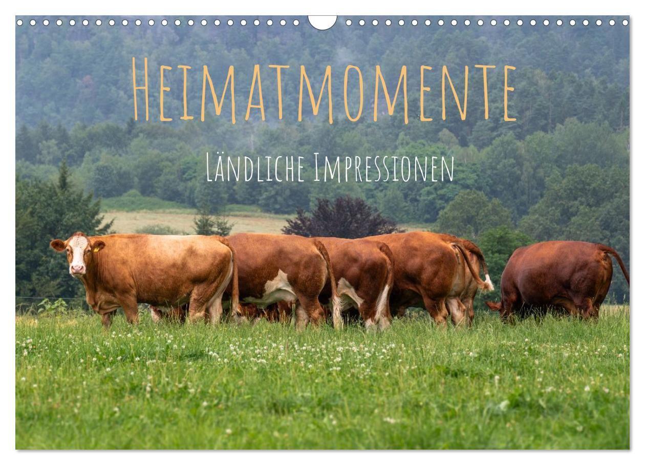 Kalender/Terminbuch Heimatmomente - Ländliche Impressionen (Wandkalender 2027 DIN A3 quer), CALVENDO Monatskalender Calvendo
