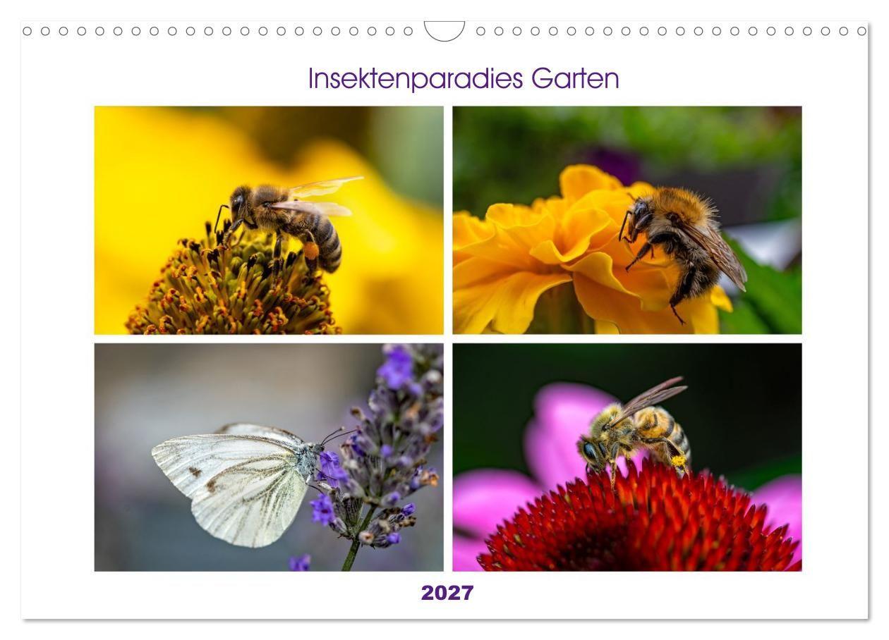 Kalender/Terminbuch Insektenparadies Garten (Wandkalender 2027 DIN A3 quer), CALVENDO Monatskalender Calvendo