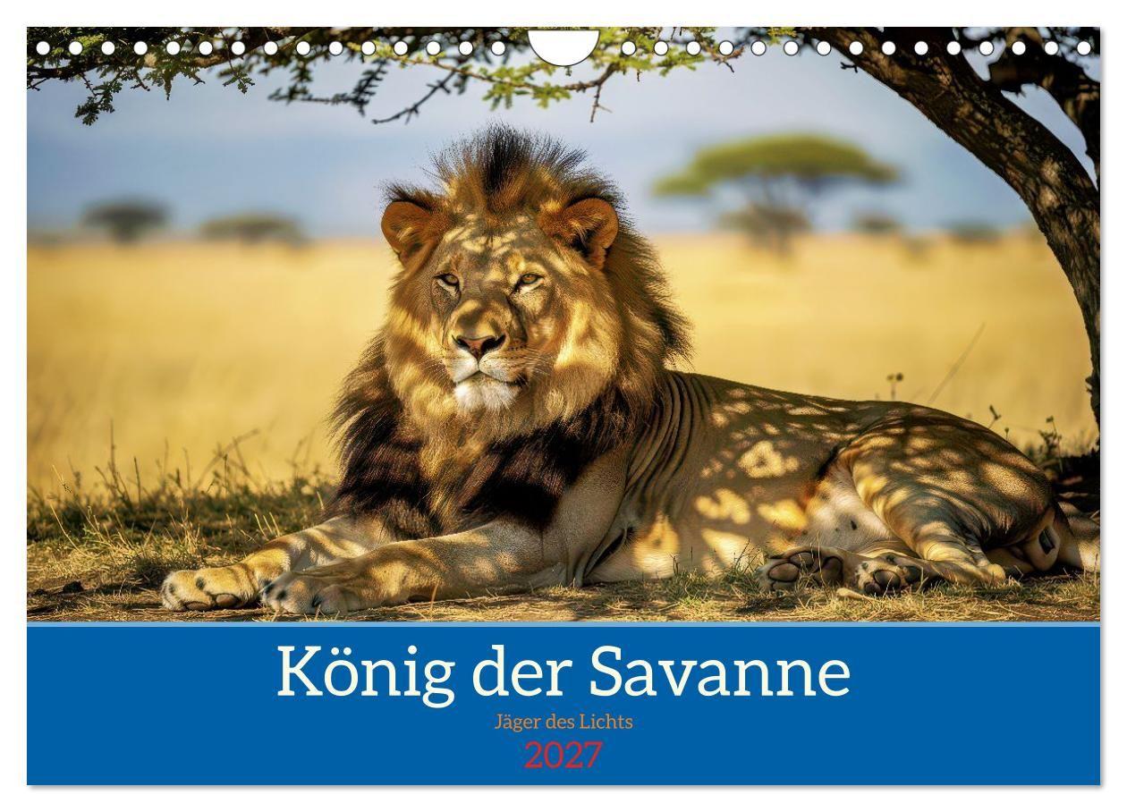 Kalender/Terminbuch Löwen der Savanne (Wandkalender 2027 DIN A4 quer), CALVENDO Monatskalender Calvendo