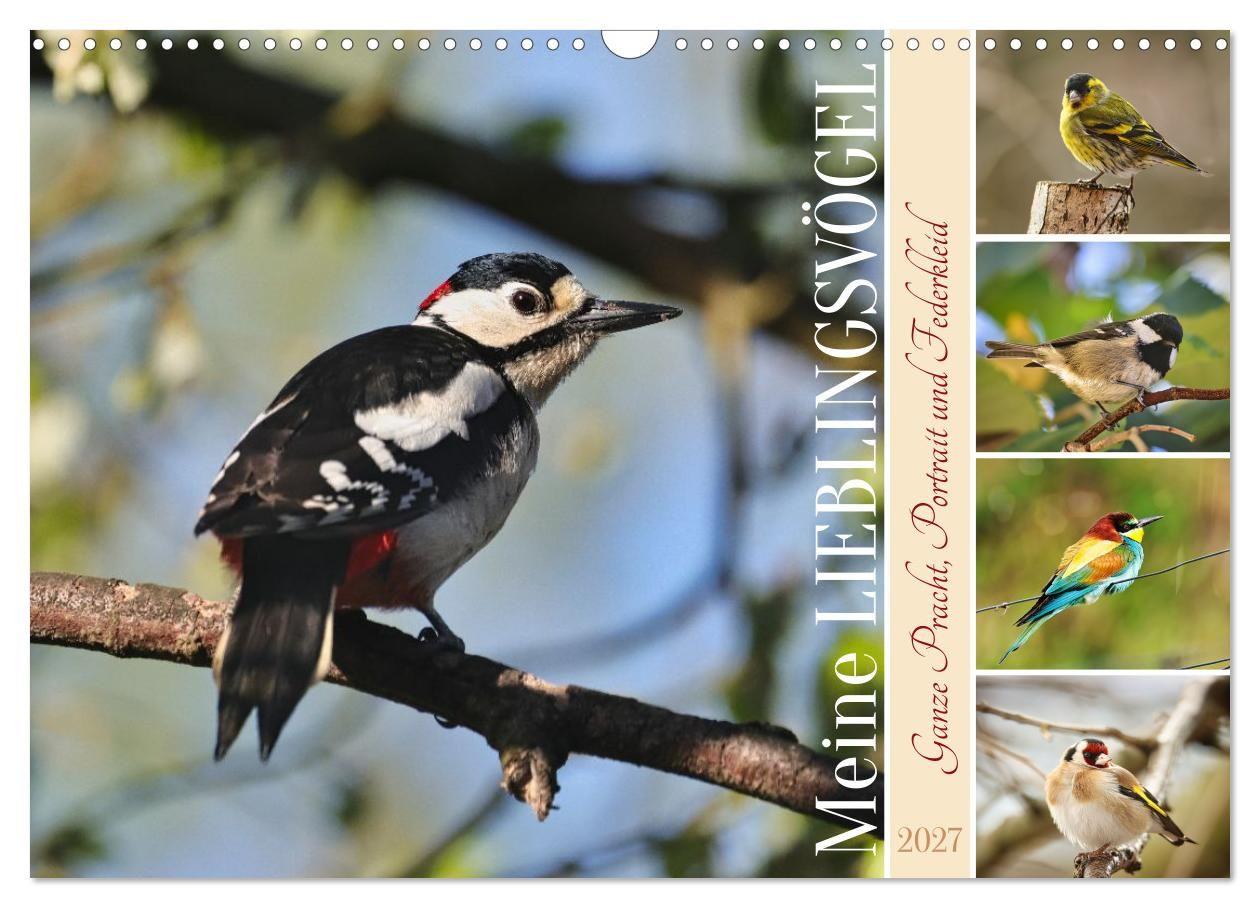 Kalender/Terminbuch Meine Lieblingsvögel (Wandkalender 2027 DIN A3 quer), CALVENDO Monatskalender Calvendo